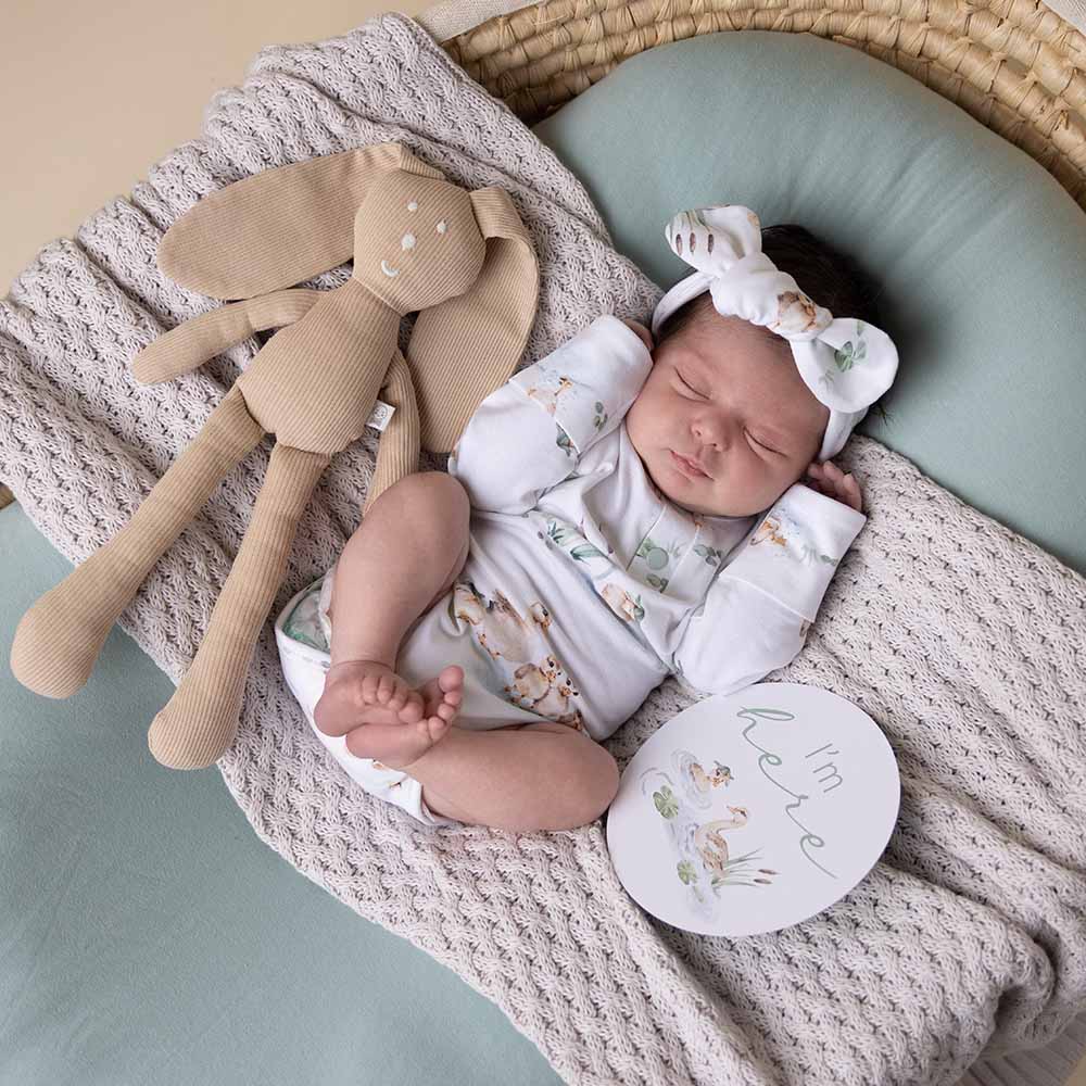 Snuggle Hunny - Duck Pond Long Sleeve Organic Bodysuit